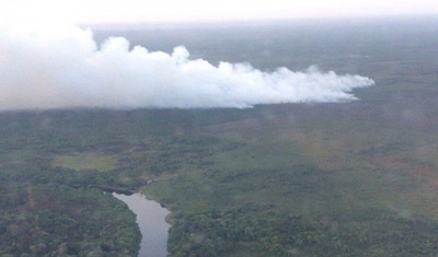 Sejak Tiga Hari Terakhir, 10 Hektare Hutan di SM Giam Siak Kecil Terbakar